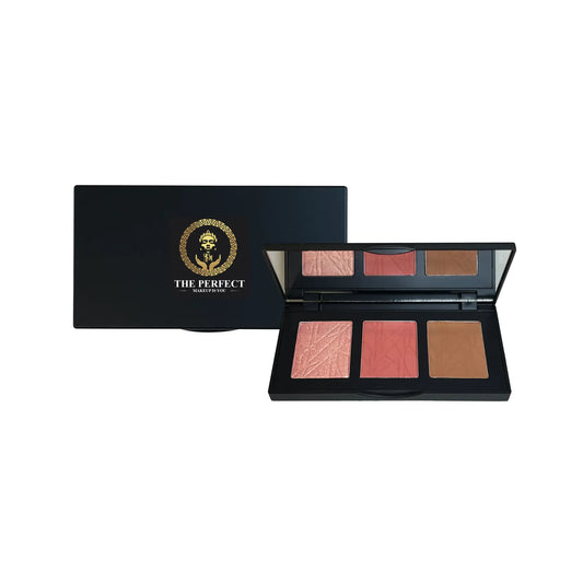 PRO CHEEK PALETTE · CURIOUS - The Perfect Makeup